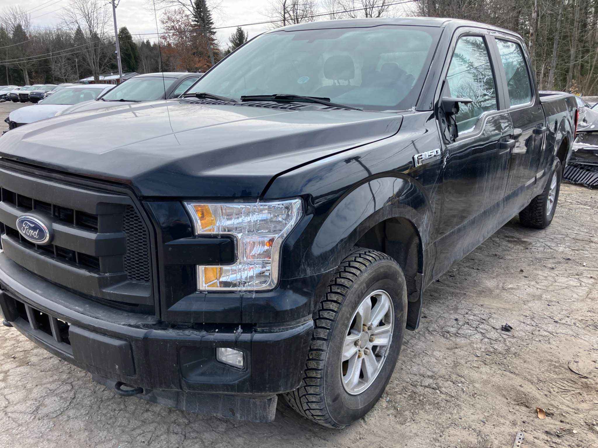 2017 Ford Pickup (Ford)