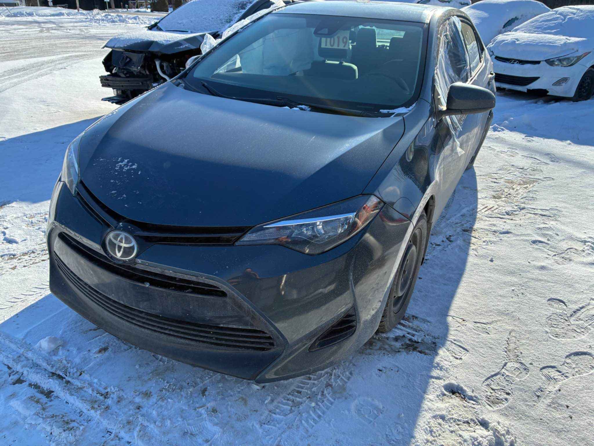 2019 Toyota Corolla