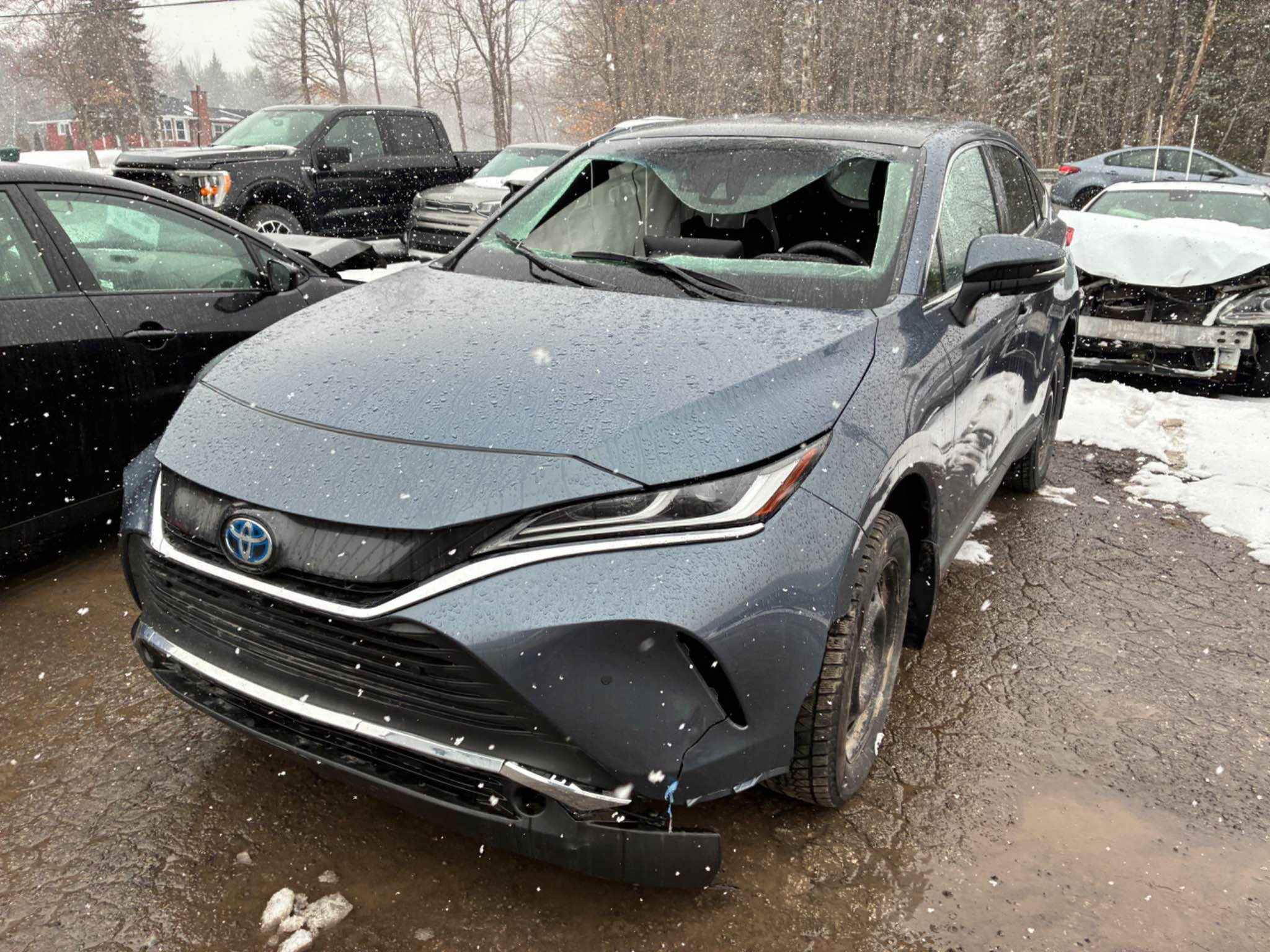 2024 Toyota Venza