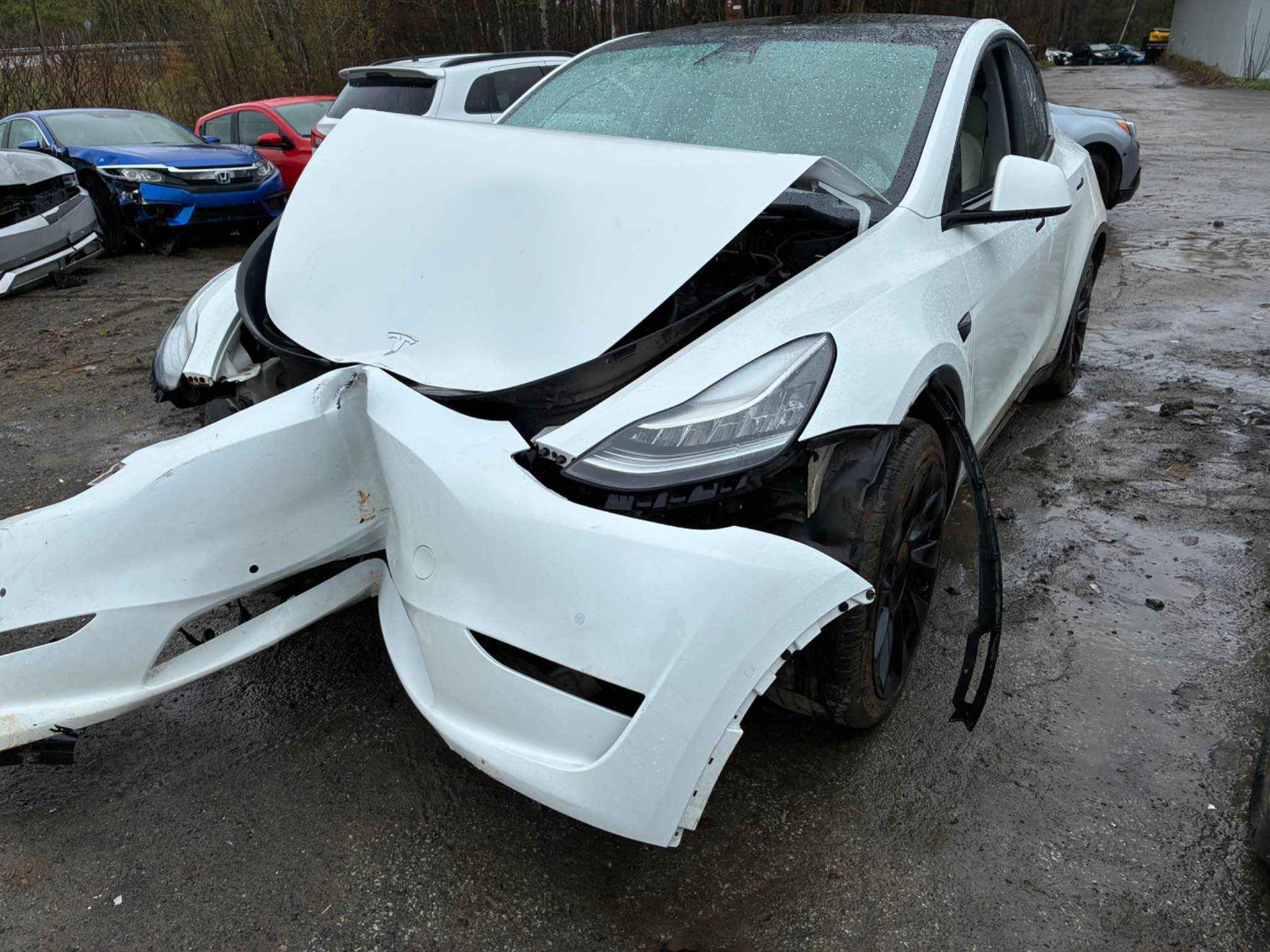 2020 Tesla Tesla Y