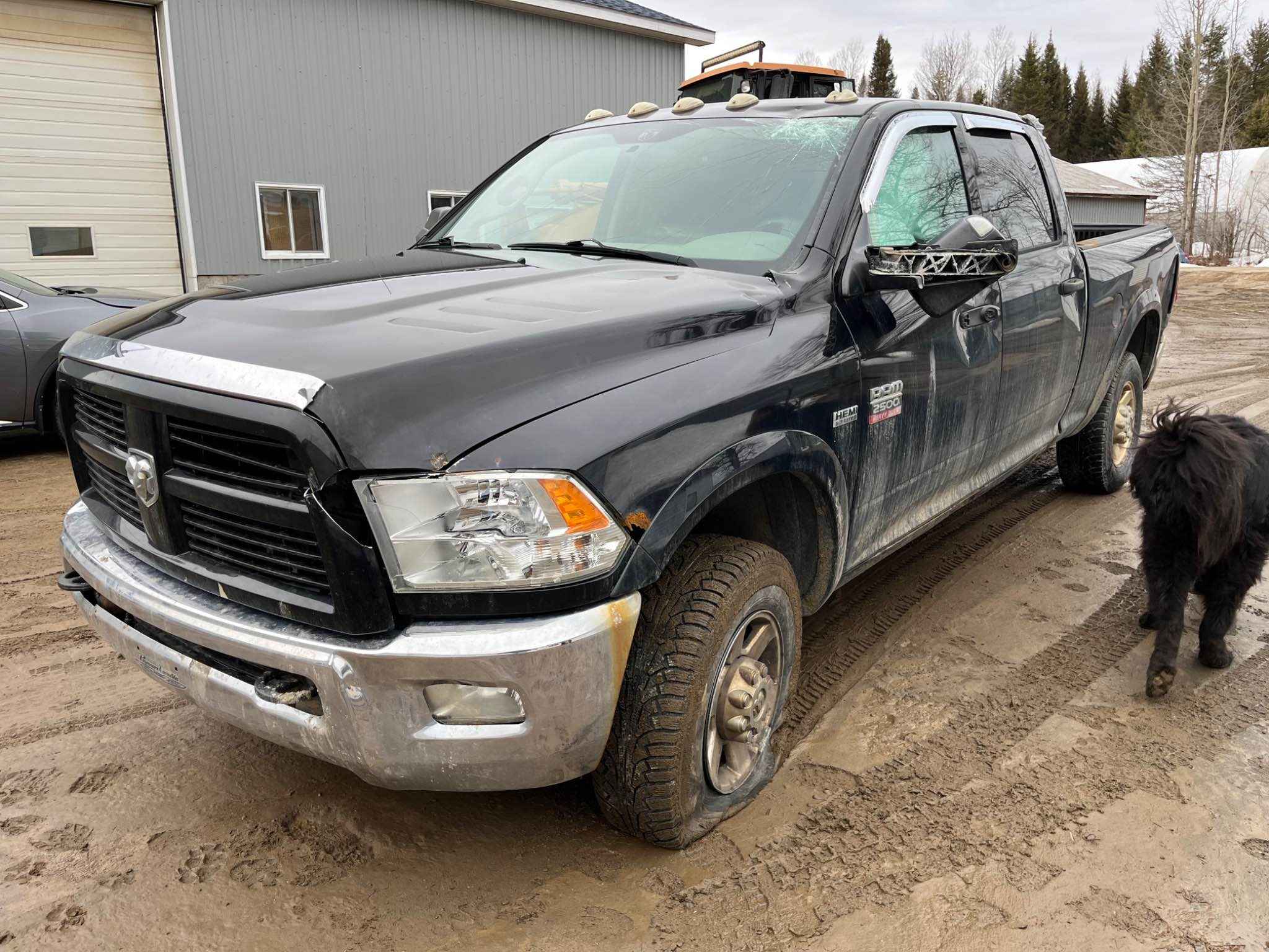 2012 Chrysler Pickup (Dodge)
