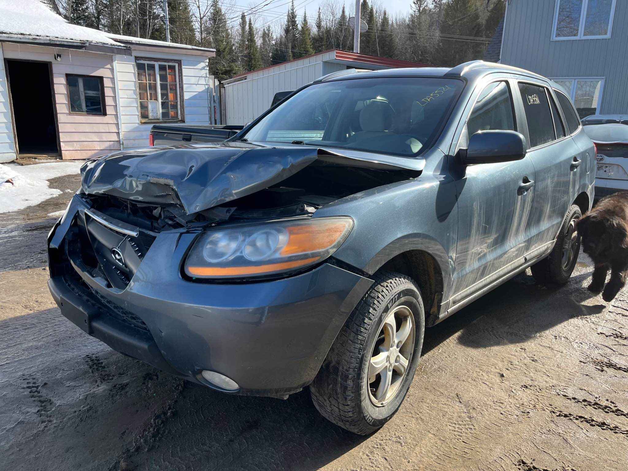 2009 Hyundai Santa Fe