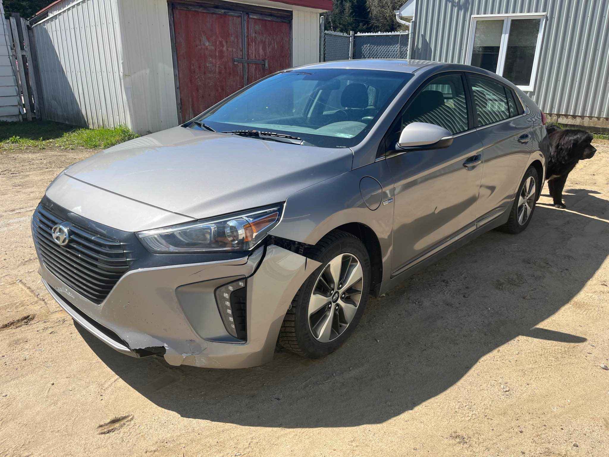 2019 Hyundai Ioniq