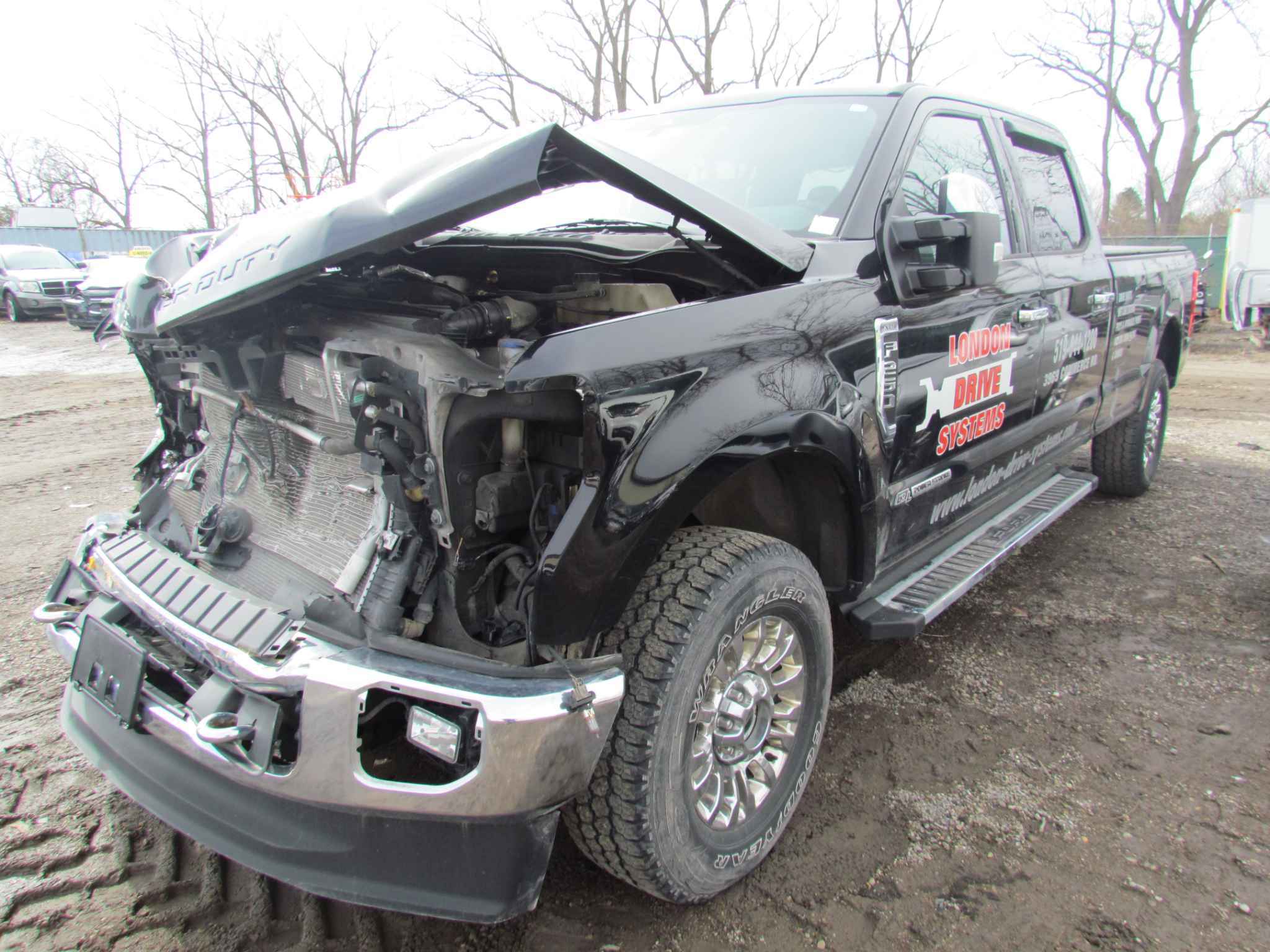 2021 Ford Pickup (Ford)