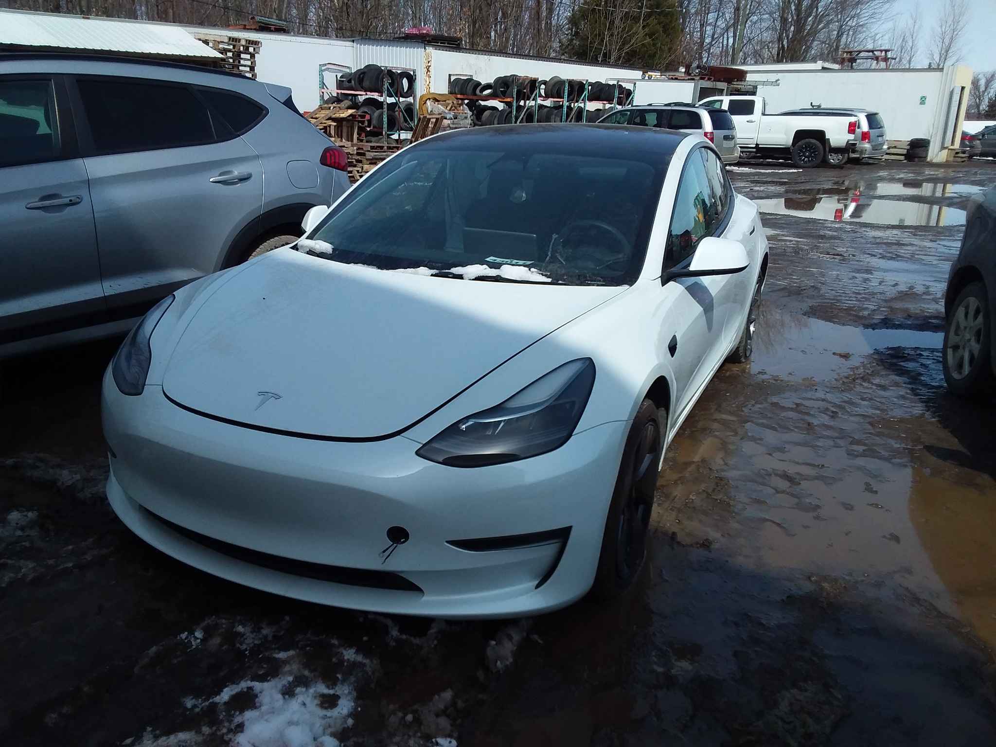 2023 Tesla Tesla 3