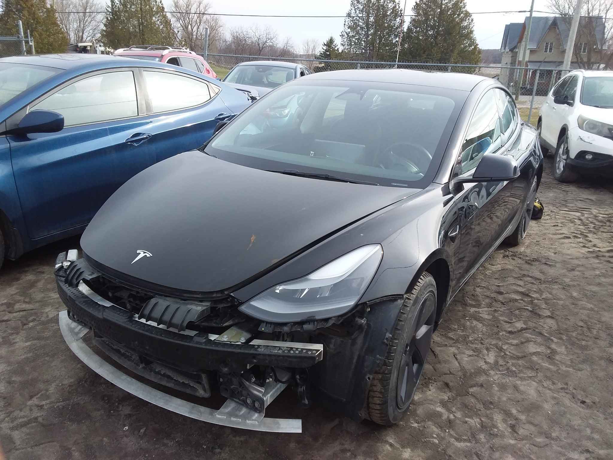 2023 Tesla Tesla 3