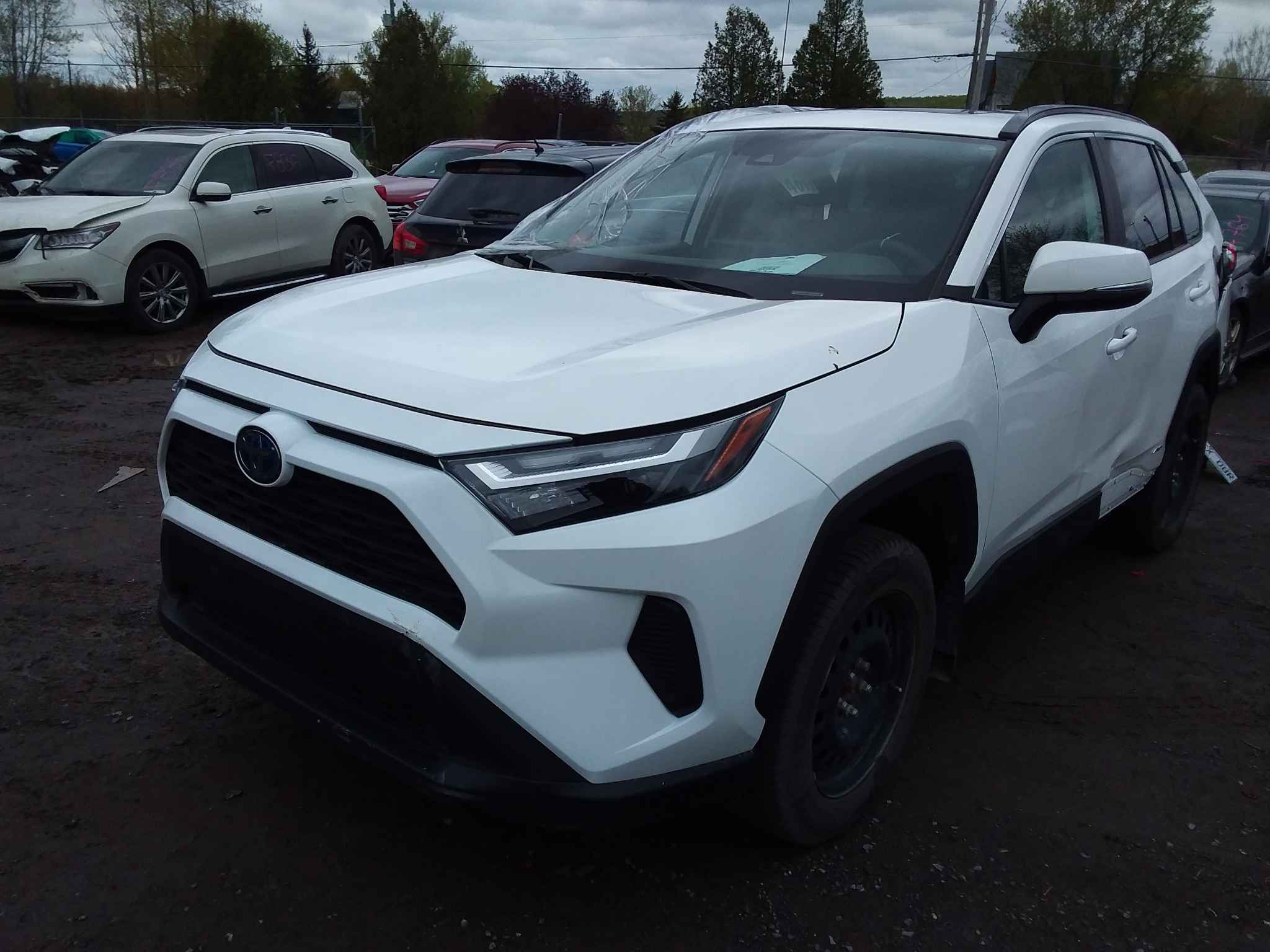 2024 Toyota Rav4