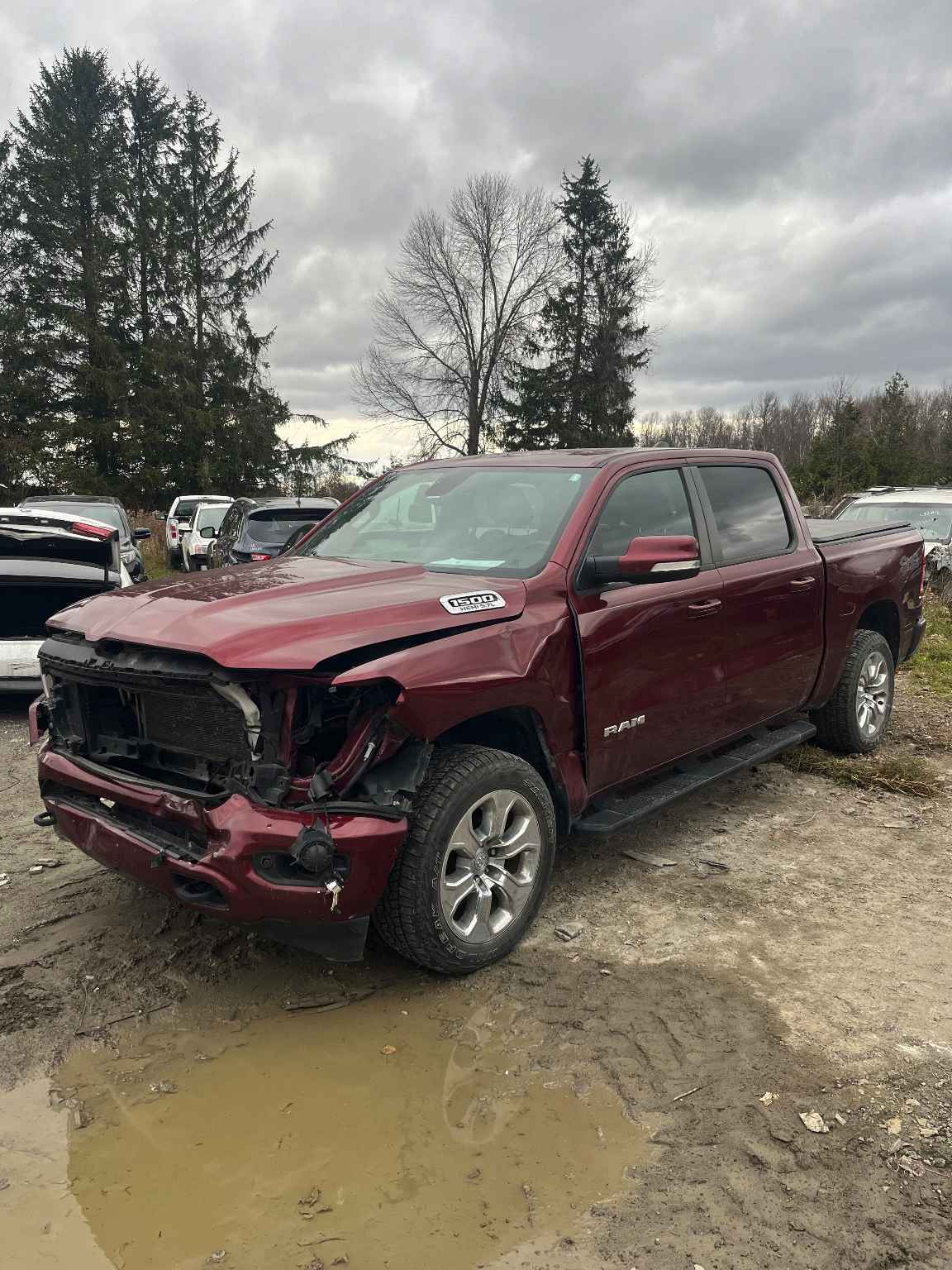 2019 Chrysler Pickup (Dodge)