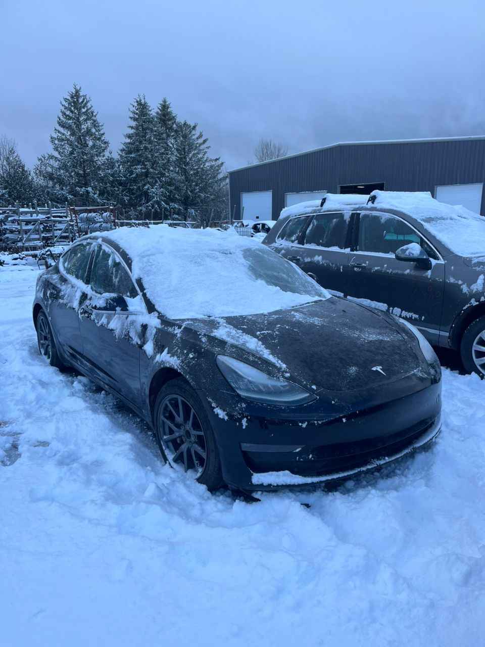 2019 Tesla Tesla 3