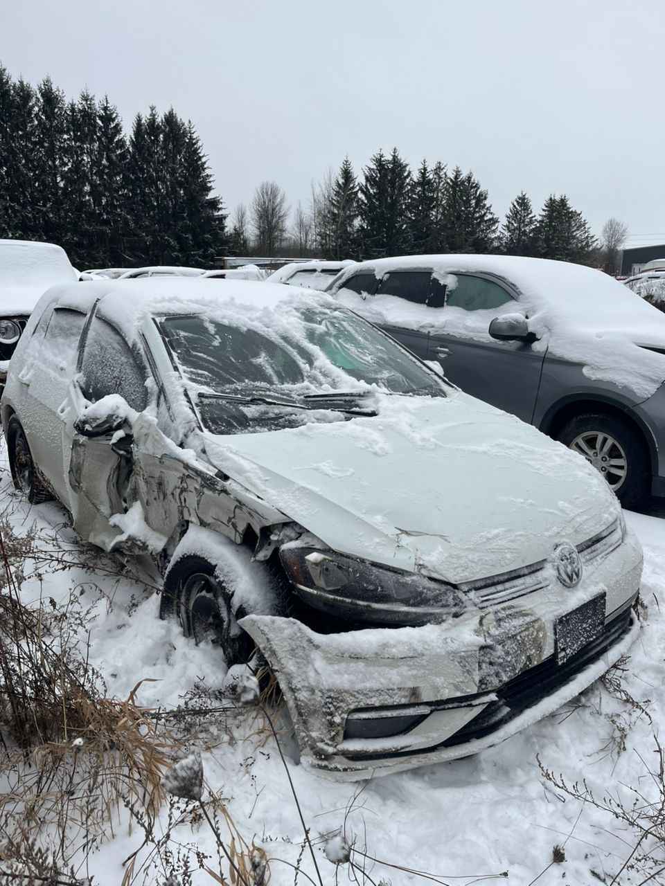 2018 Volkswagen Golf