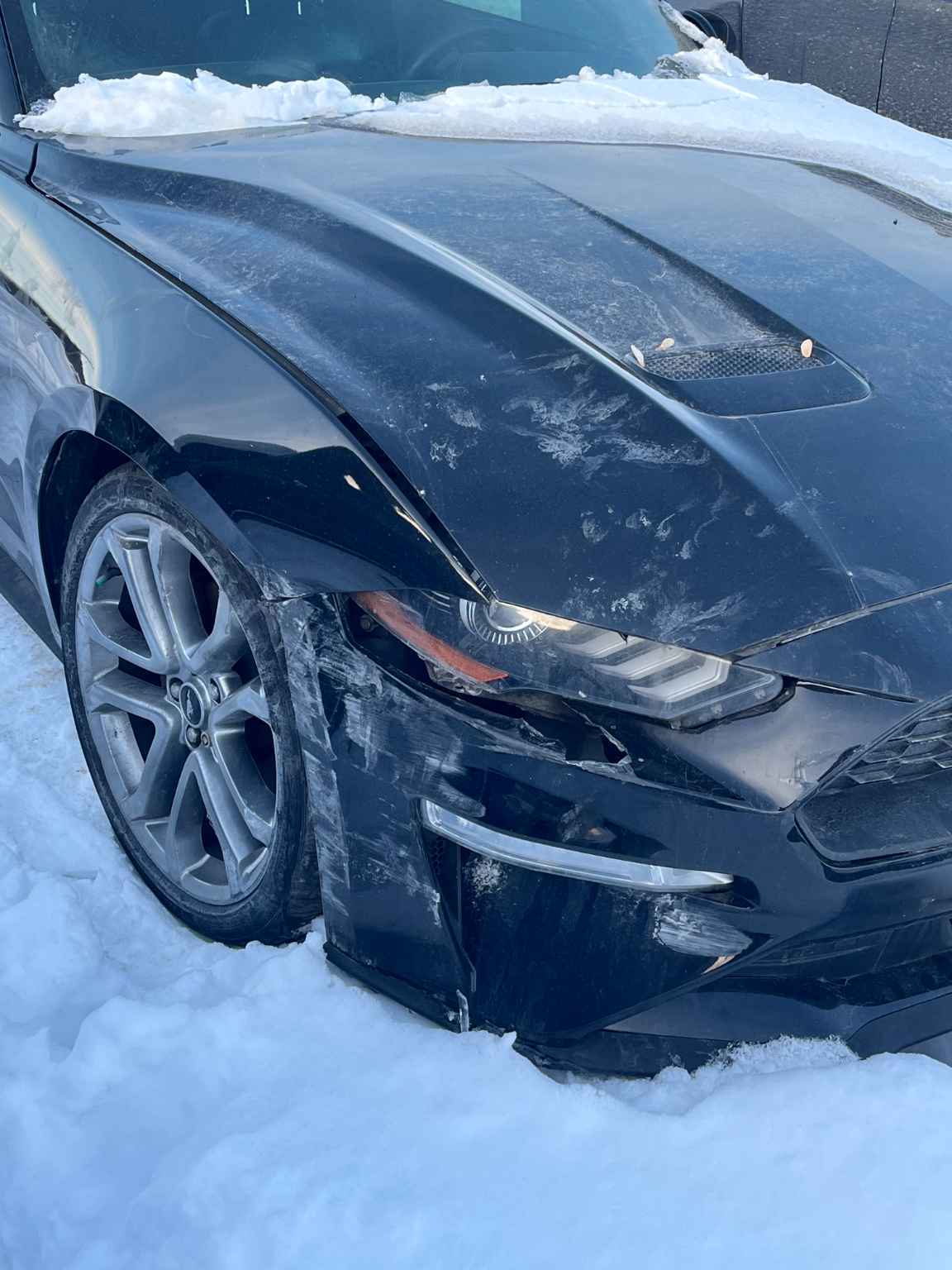 2019 Ford Mustang