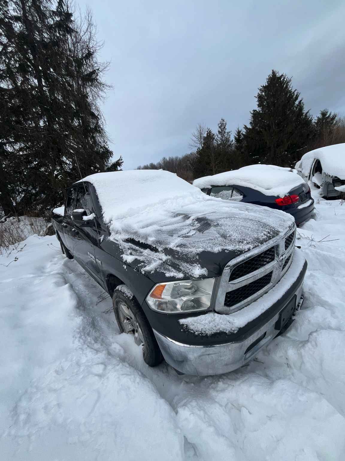 2014 Chrysler Pickup (Dodge)