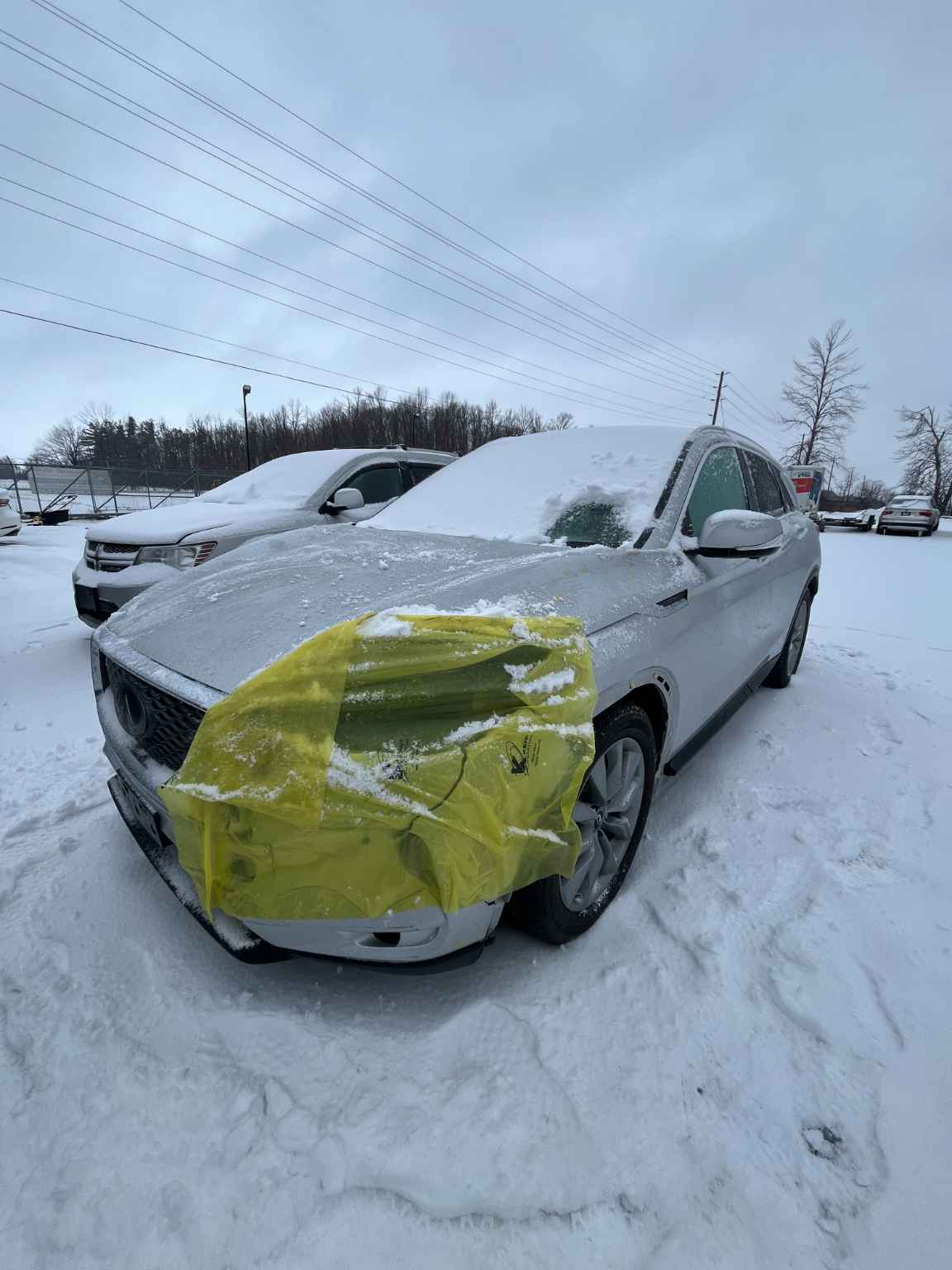 2019 Infiniti Infiniti Qx50