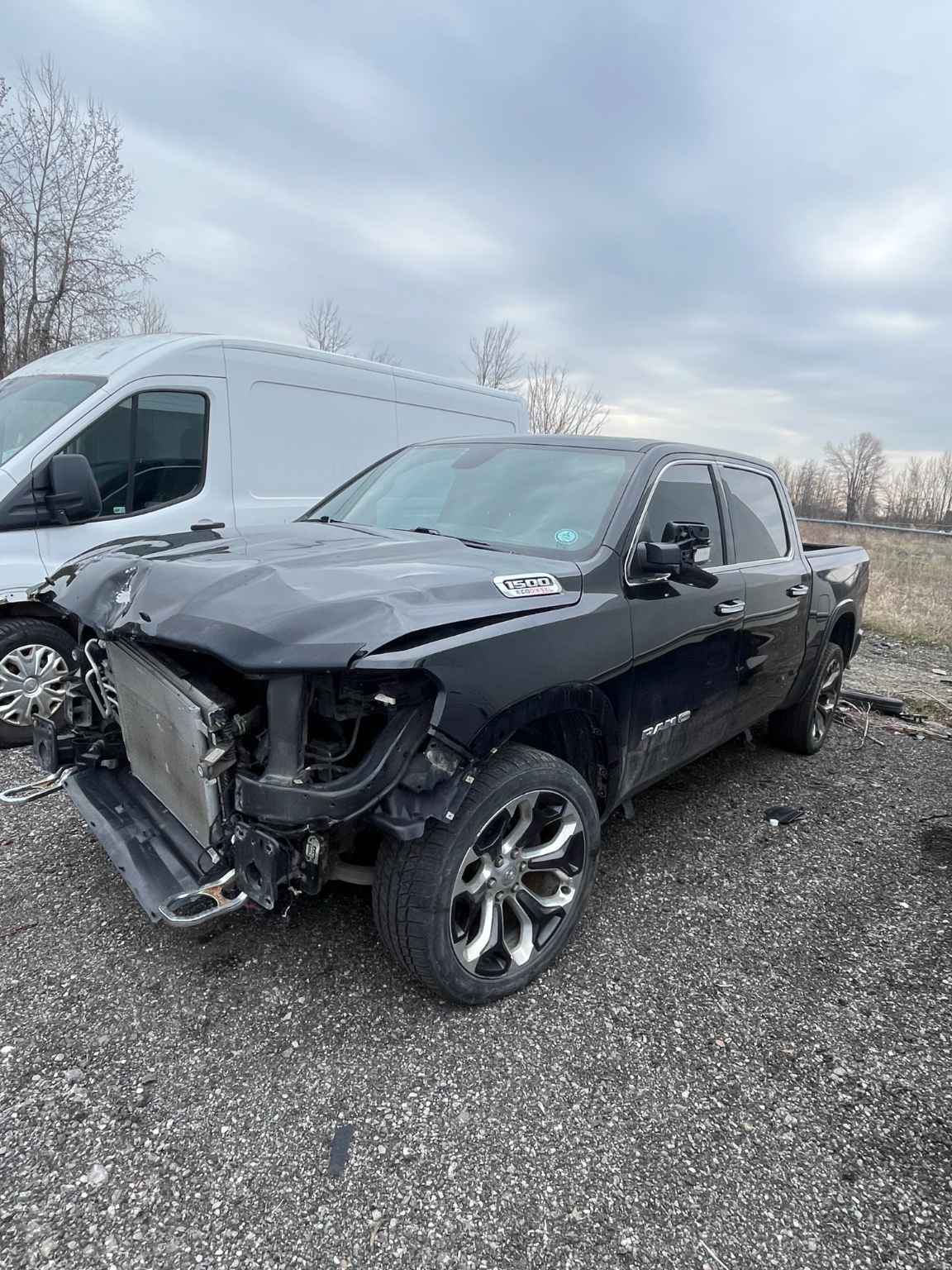 2020 Chrysler Pickup (Dodge)