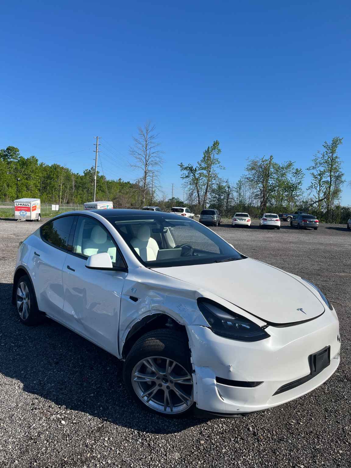 2023 Tesla Tesla Y