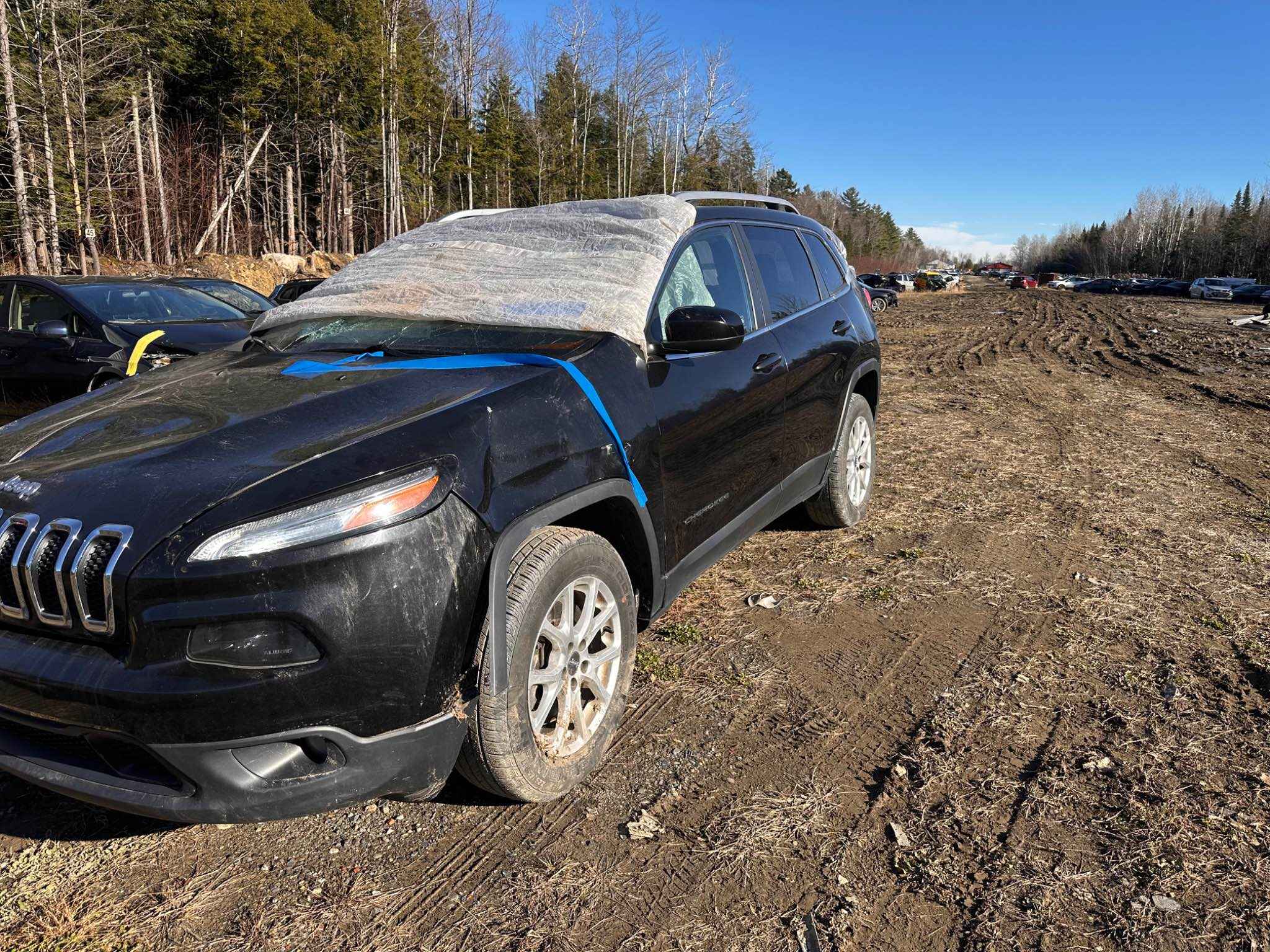 2016 Jeep Cherokee (All)