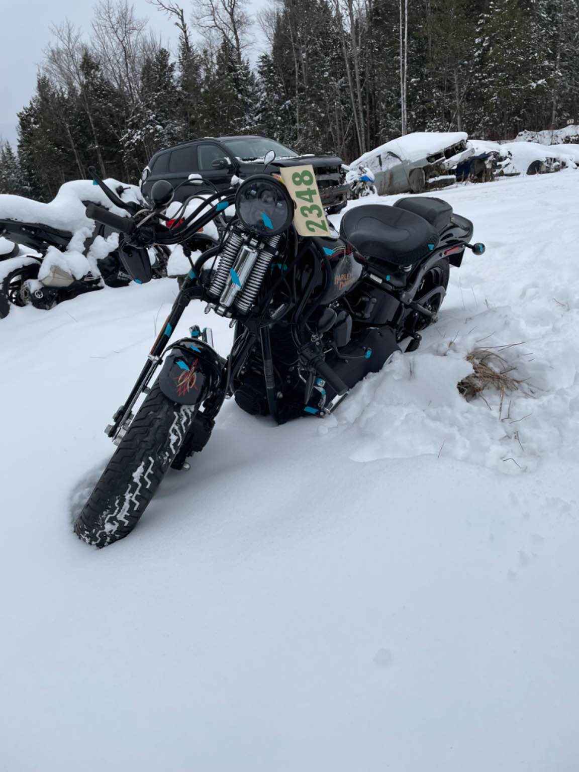 2009 Motorcycle Harley Davidson