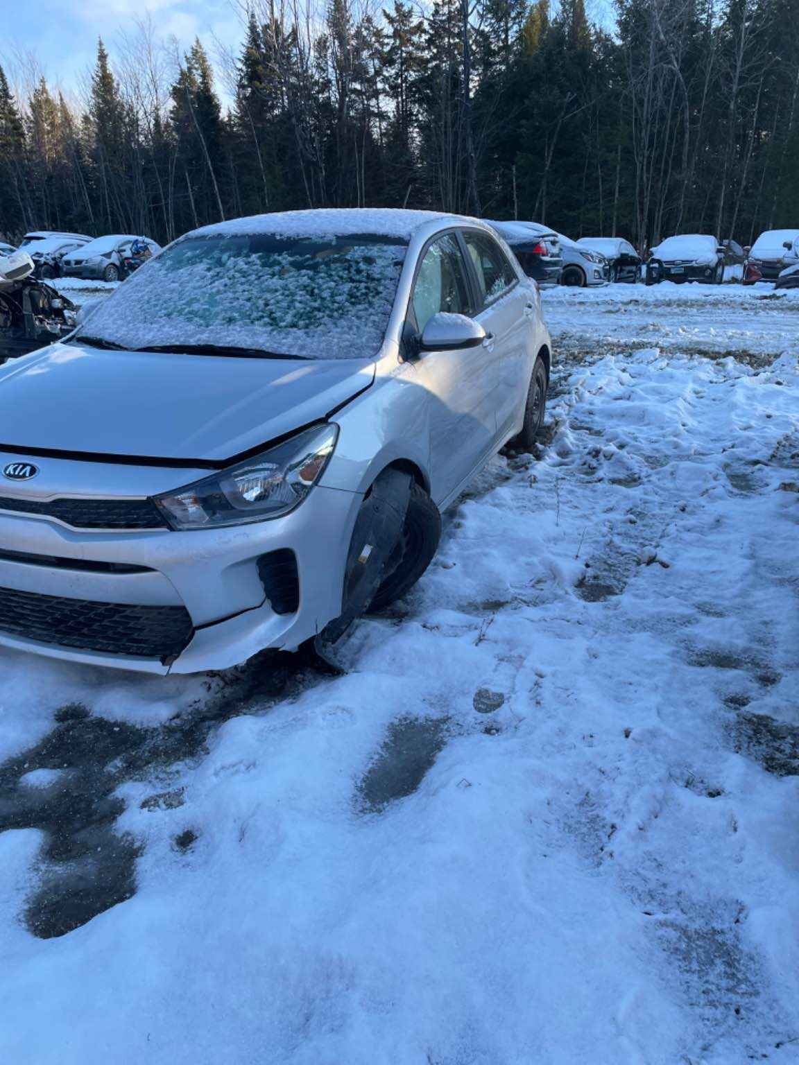 2019 Kia Rio