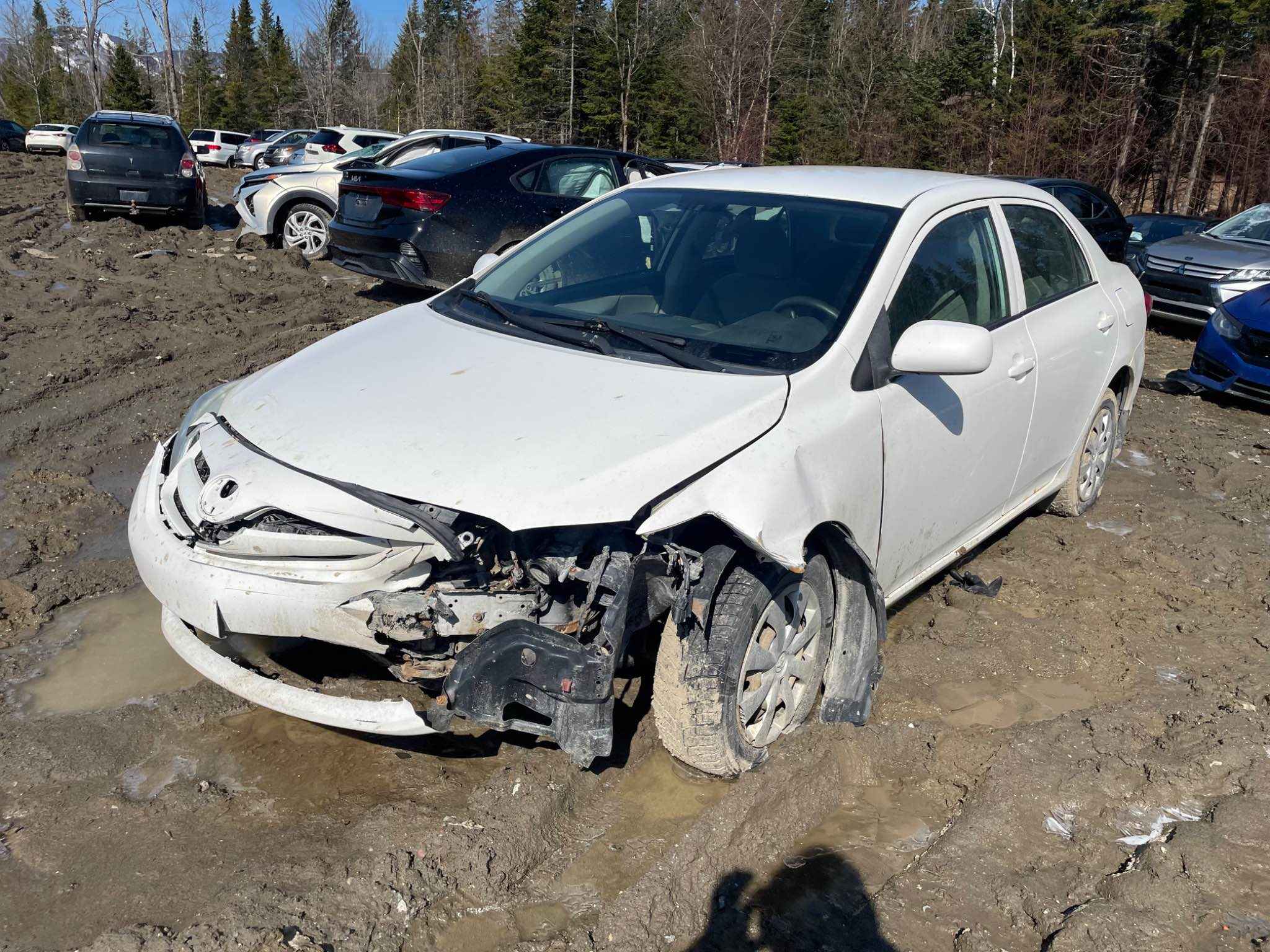 2011 Toyota Corolla