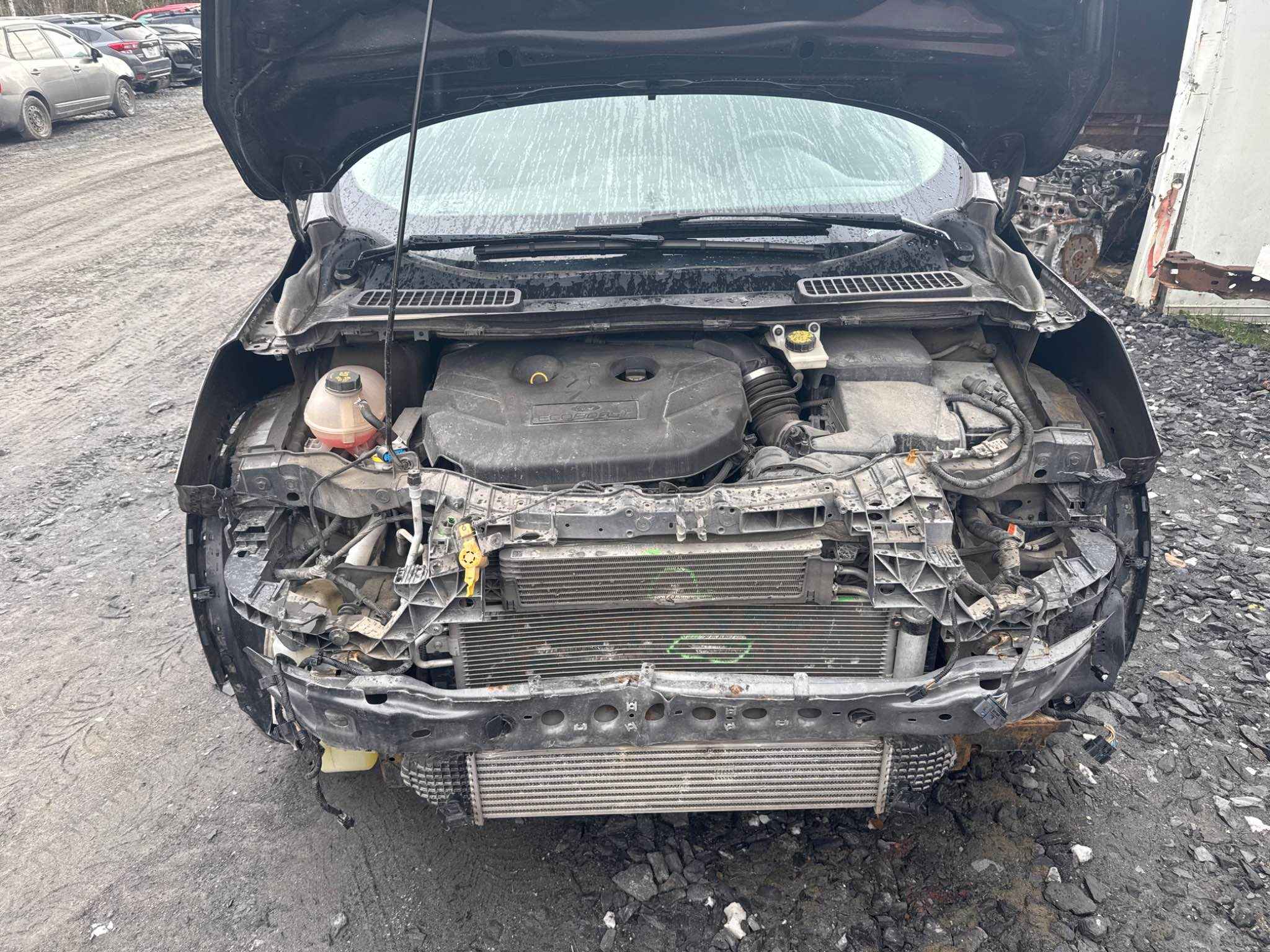 2019 Ford Escape