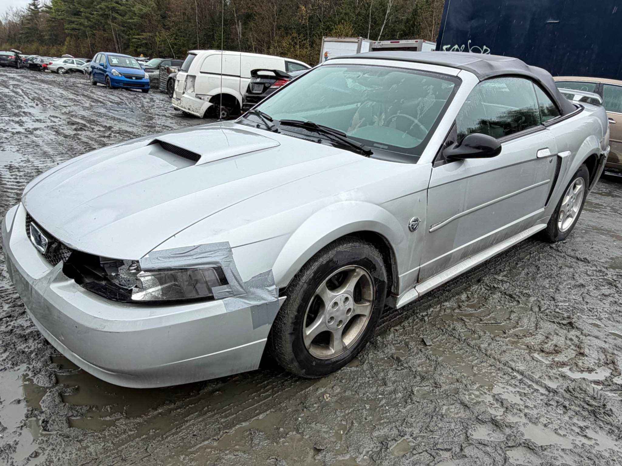 2004 Ford Mustang