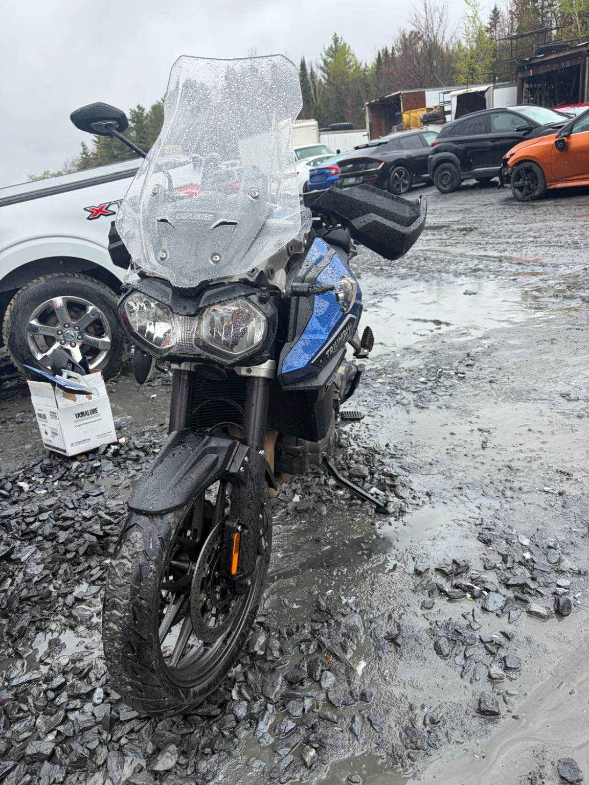 2017 Motorcycle Triumph Moto