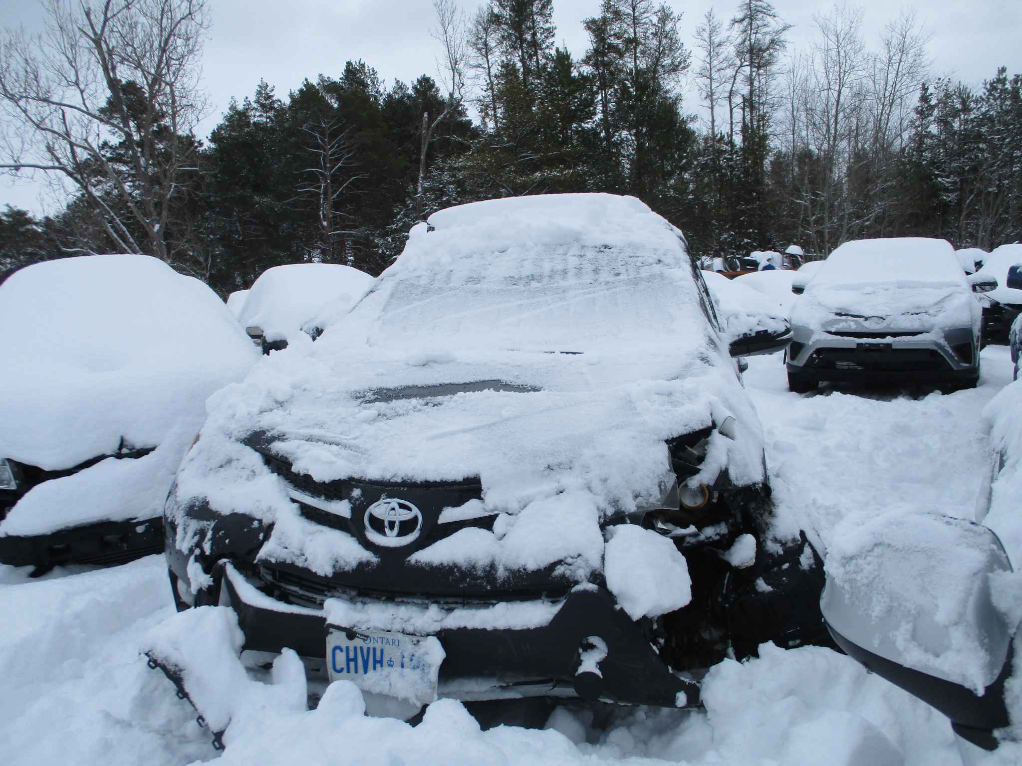 2015 Toyota Rav4