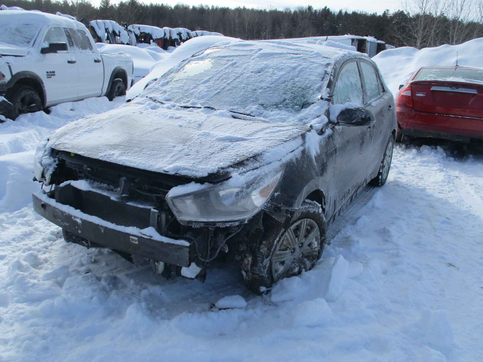 2021 Kia Rio