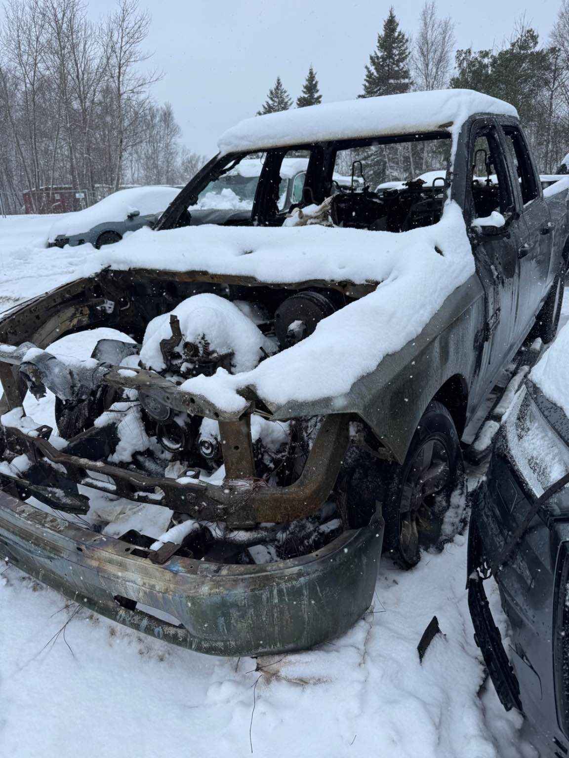 2017 Chrysler Pickup (Dodge)