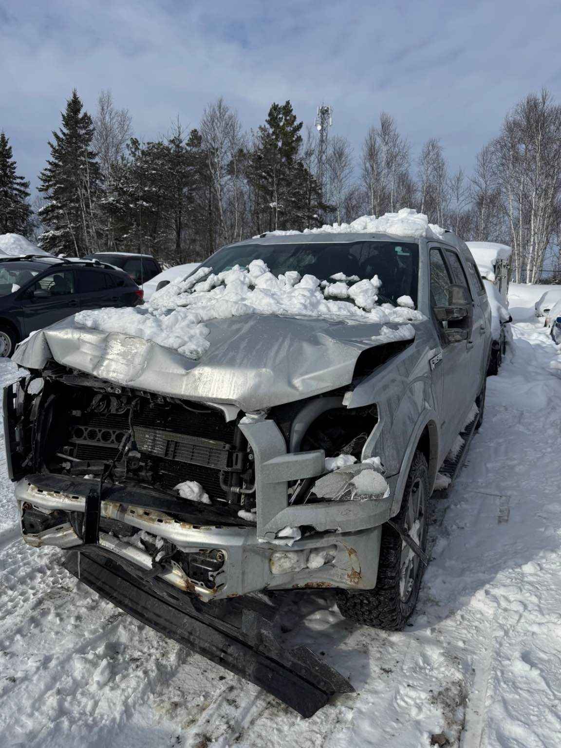 2017 Ford Pickup (Ford)