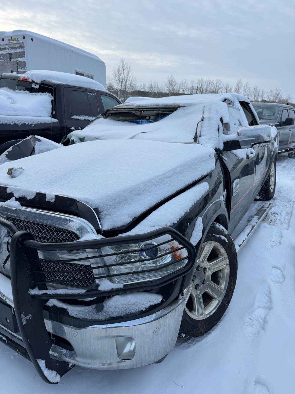 2015 Chrysler Pickup (Dodge)