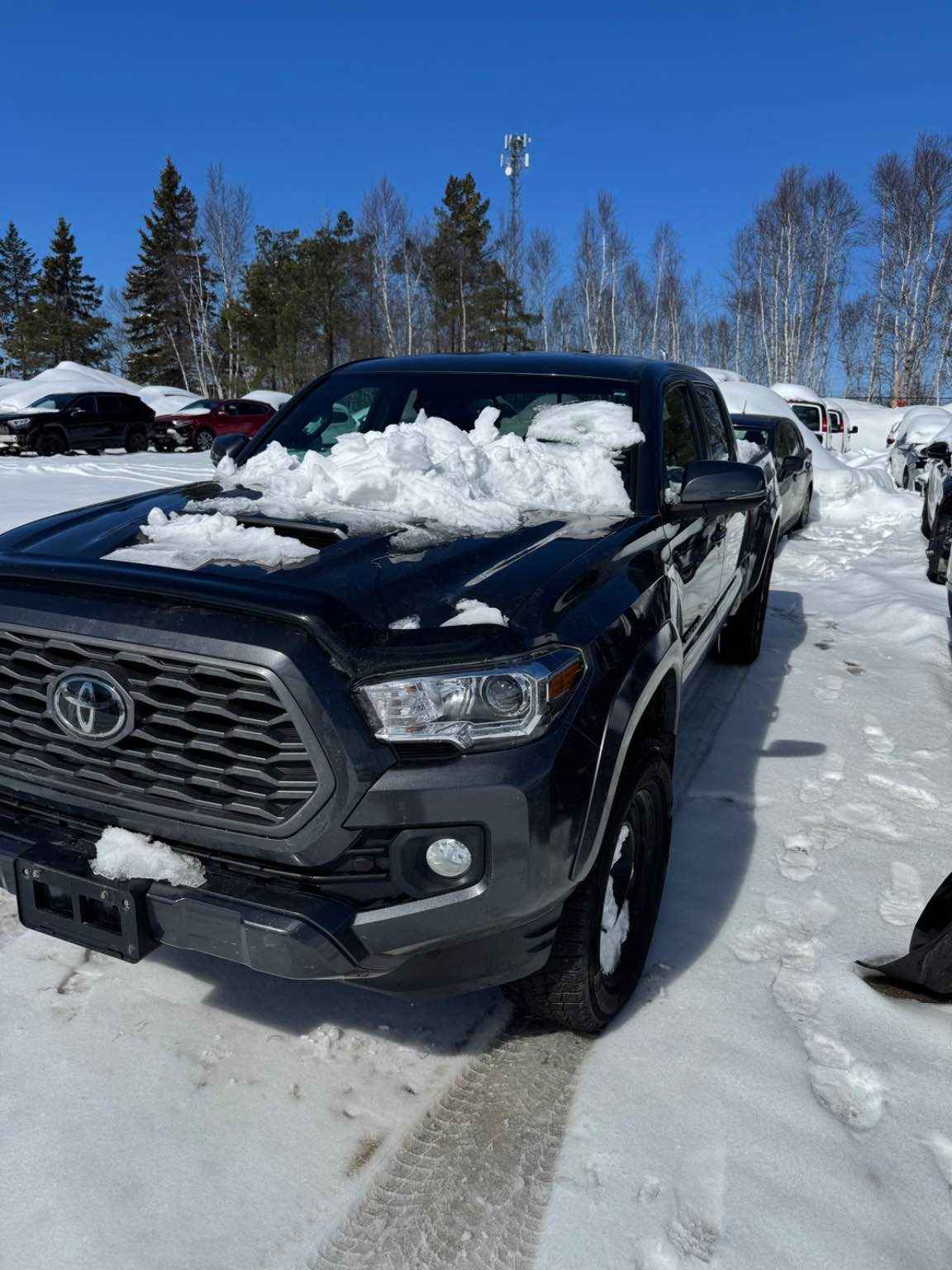 2023 Toyota Tacoma