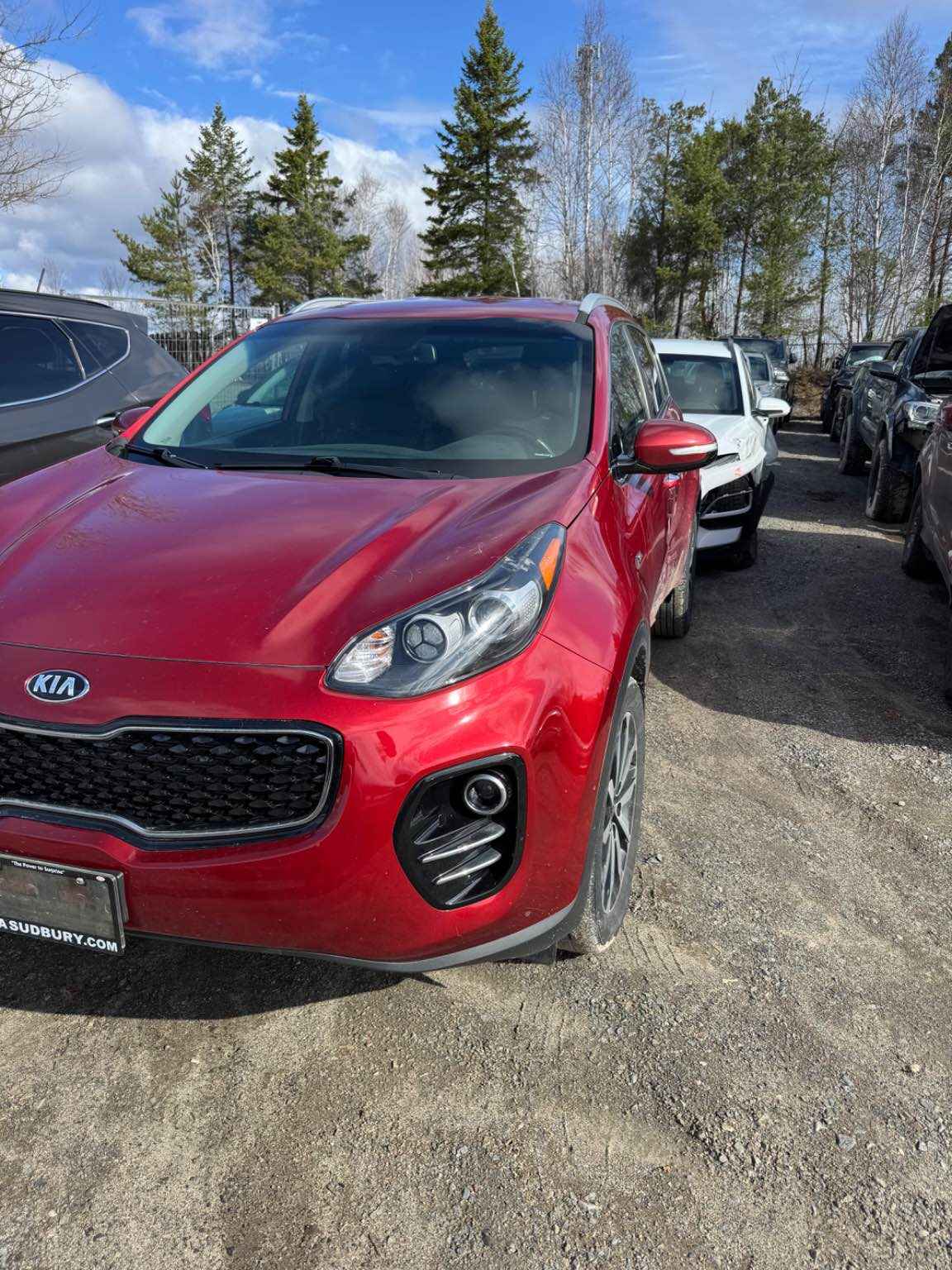 2019 Kia Sportage