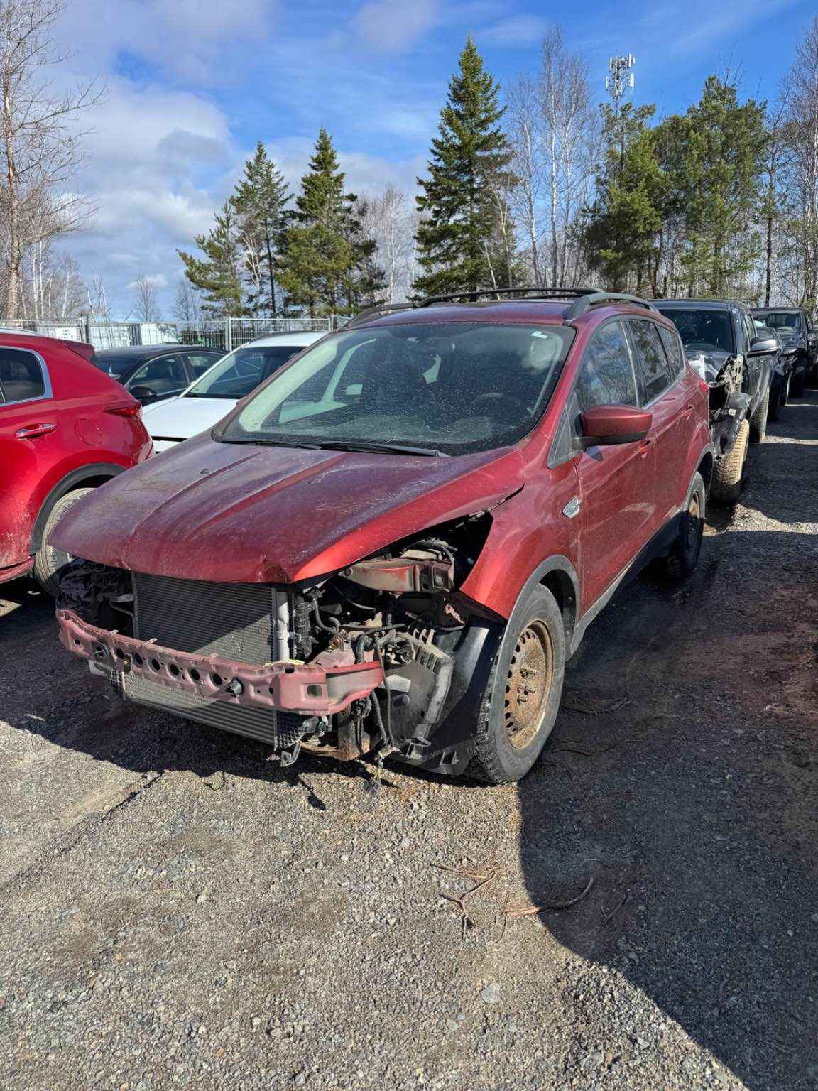 2014 Ford Escape