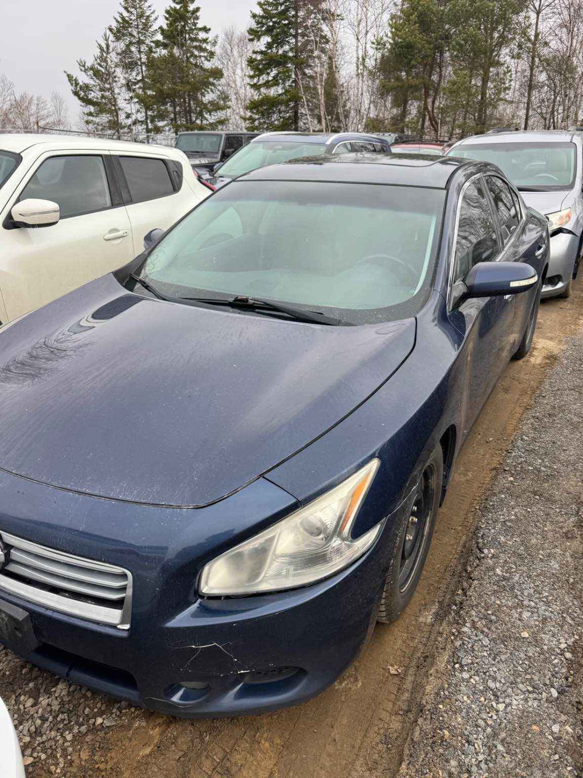 2014 Nissan Maxima