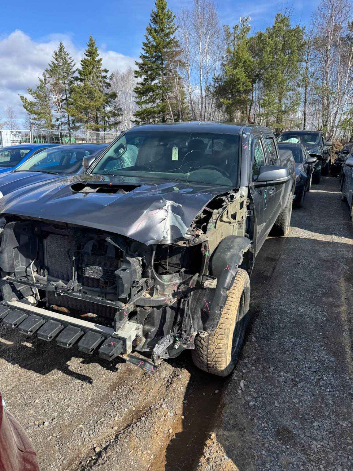 2019 Toyota Tacoma