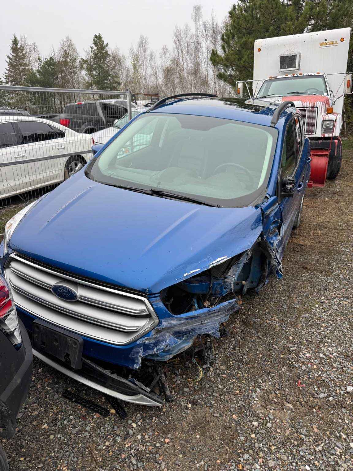 2019 Ford Escape
