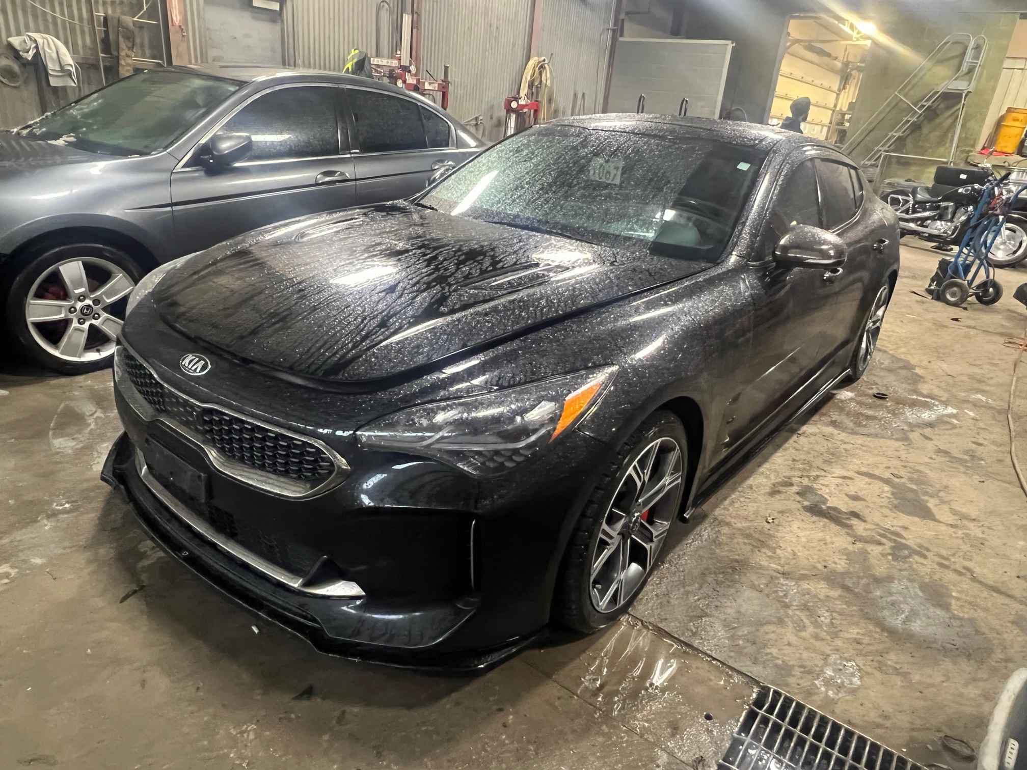 2019 Kia Stinger