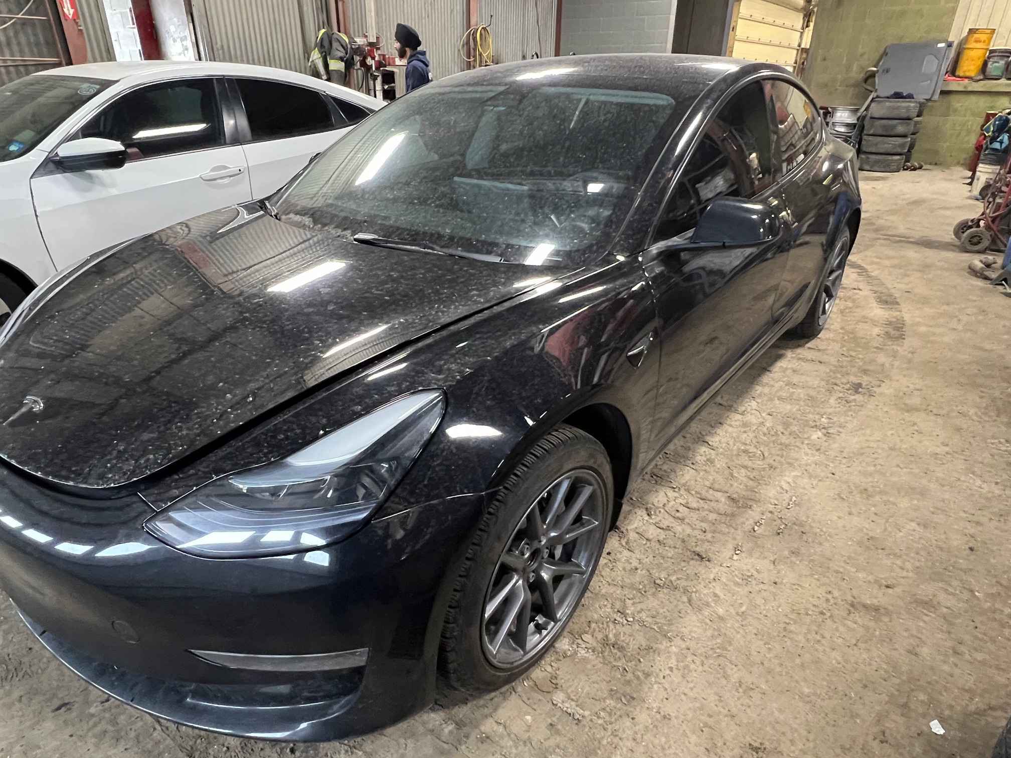 2023 Tesla Tesla 3