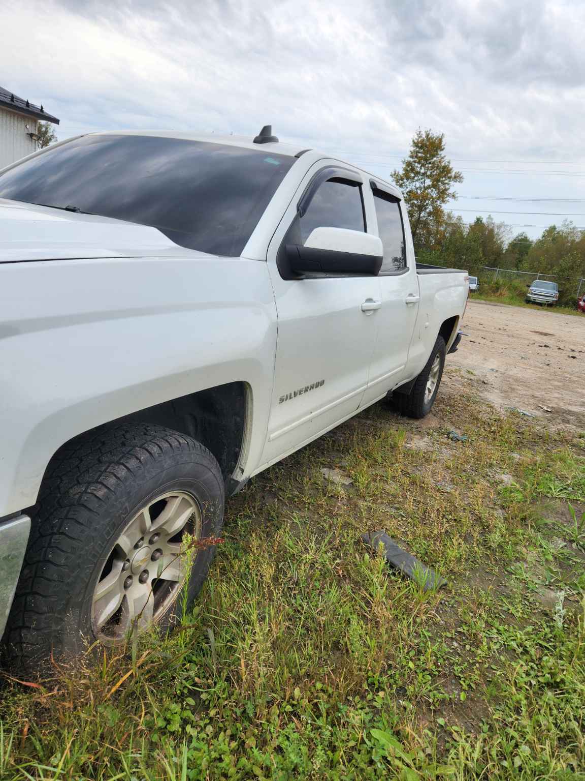 2019 GM Pickup (Chev.)