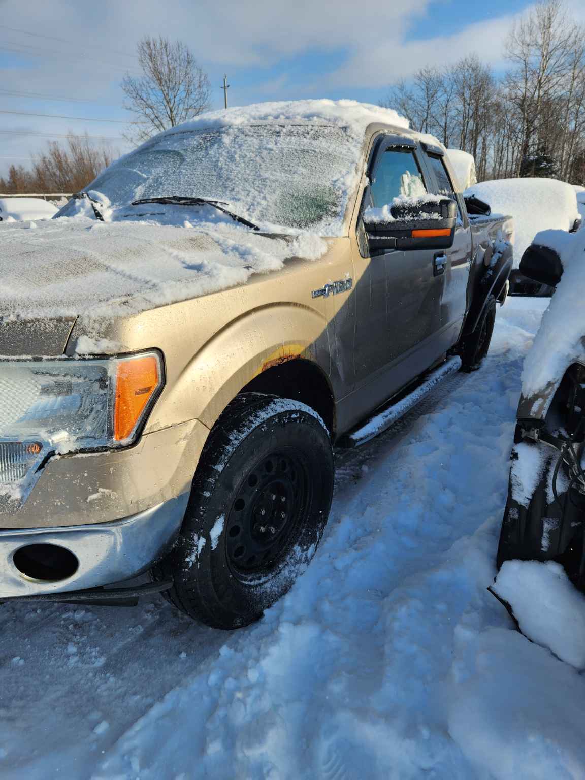 2011 Ford Pickup (Ford)