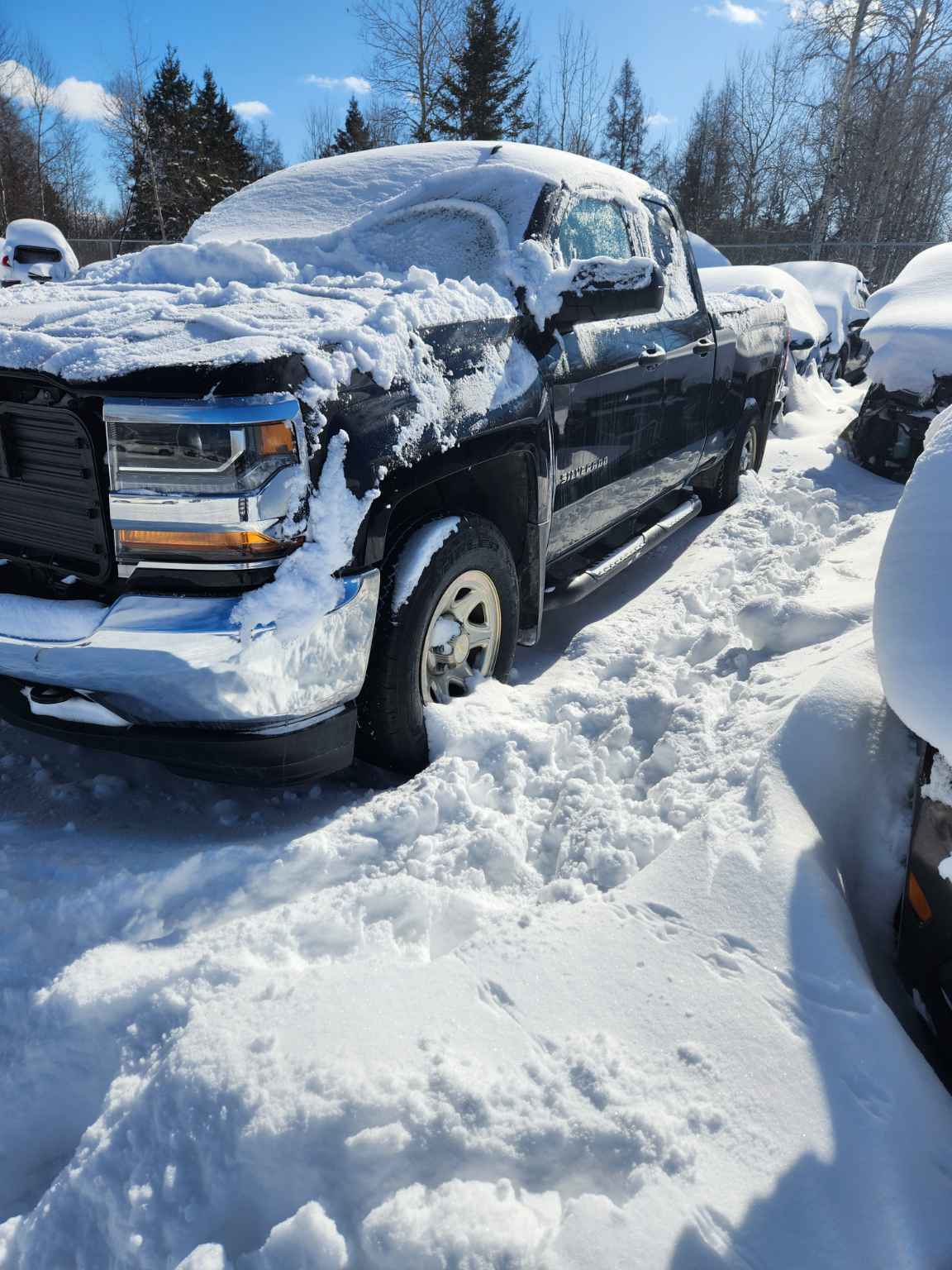 2018 GM Pickup (Chev.)