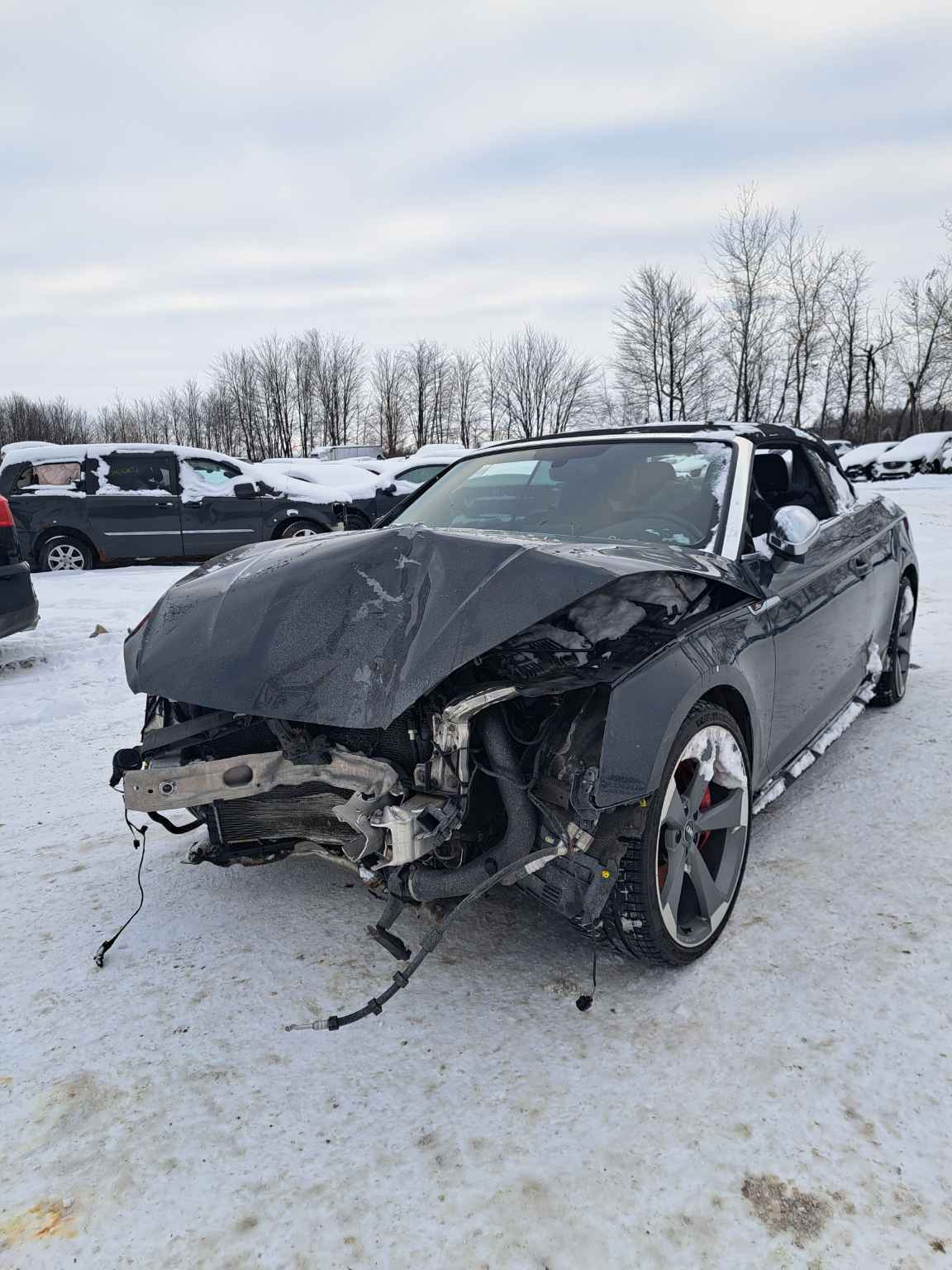 2019 Audi S5