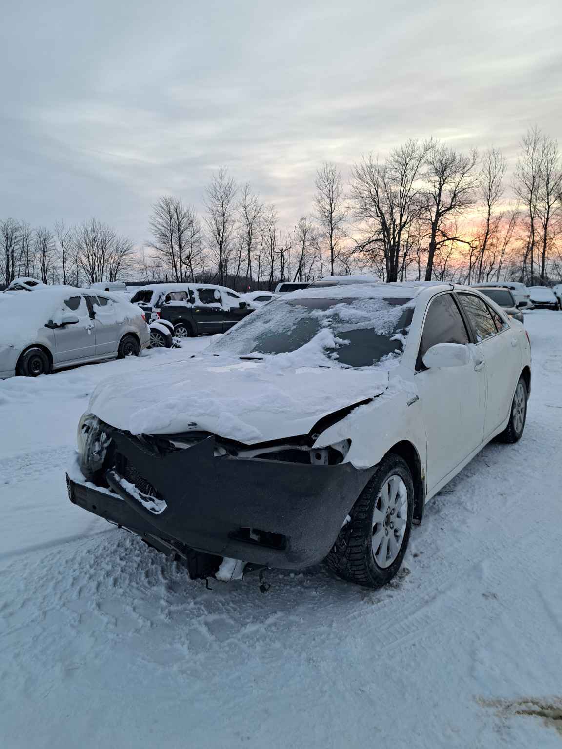 2009 Toyota Camry