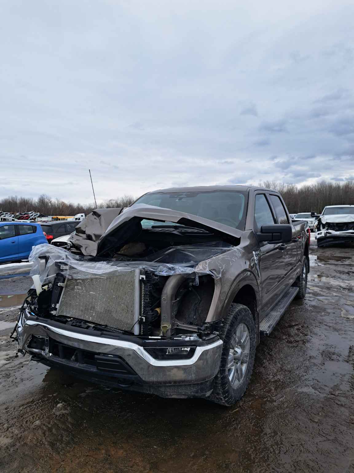 2023 Ford Pickup (Ford)