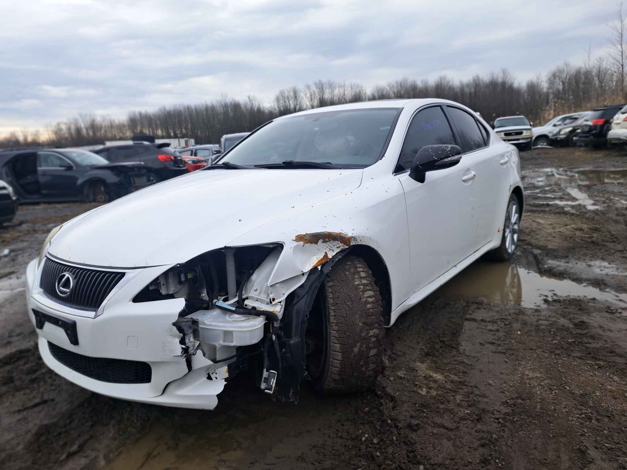 2009 Lexus Lexus Is