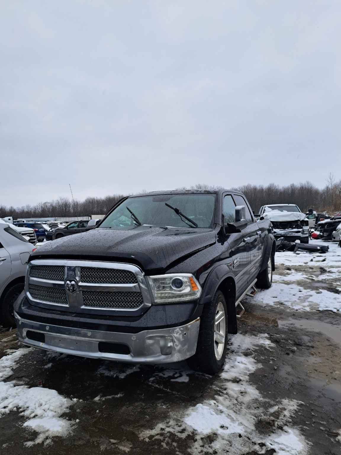 2015 Chrysler Pickup (Dodge)