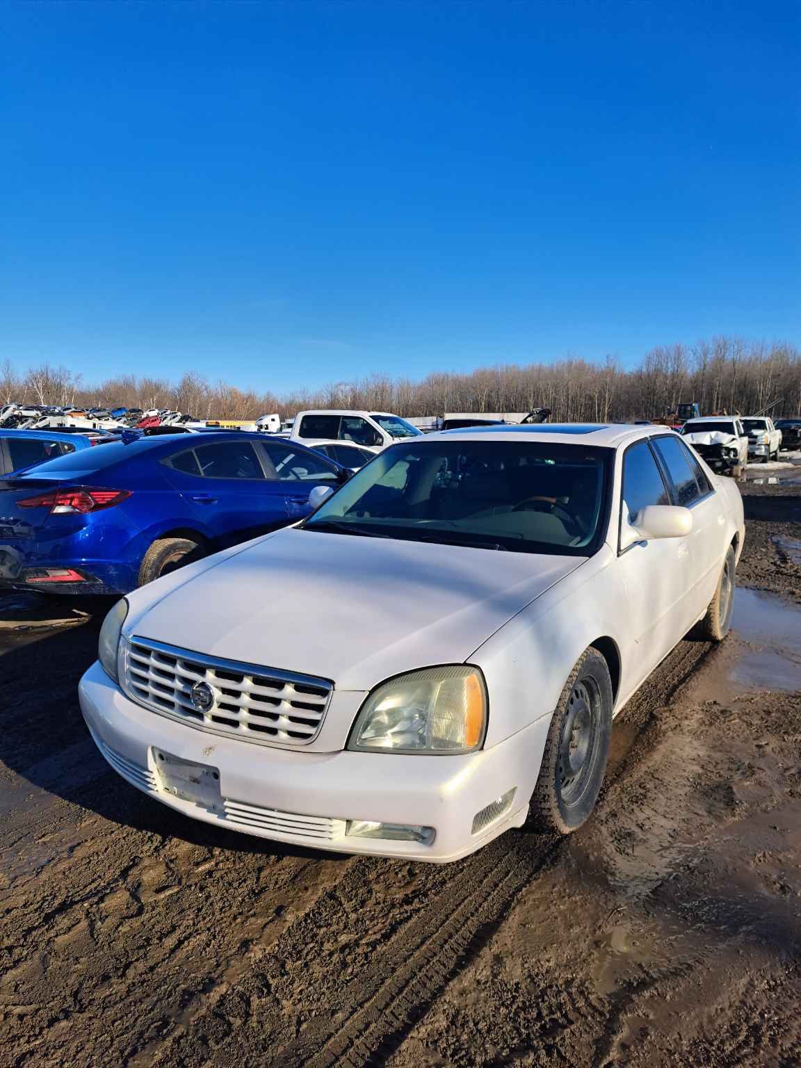 2004 GM Cadillac
