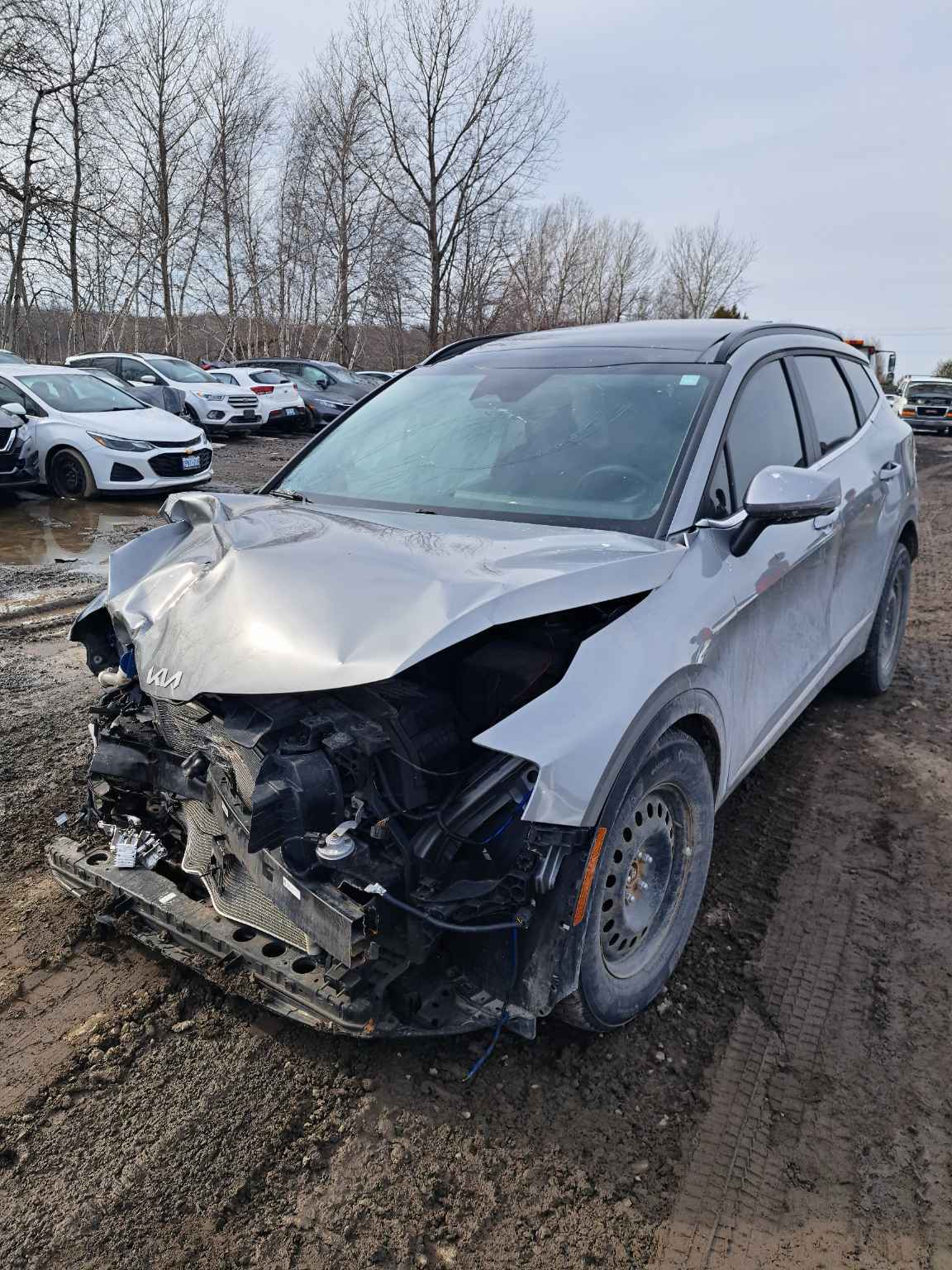 2023 Kia Sportage