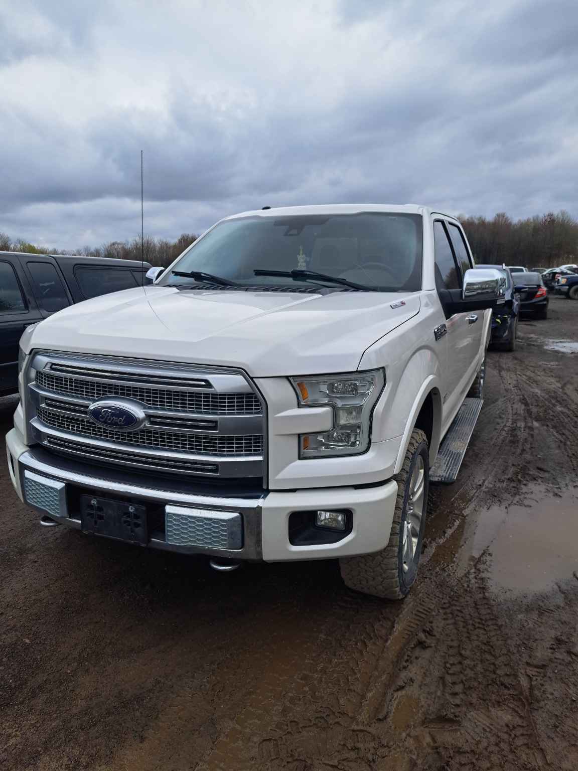 2015 Ford Pickup (Ford)